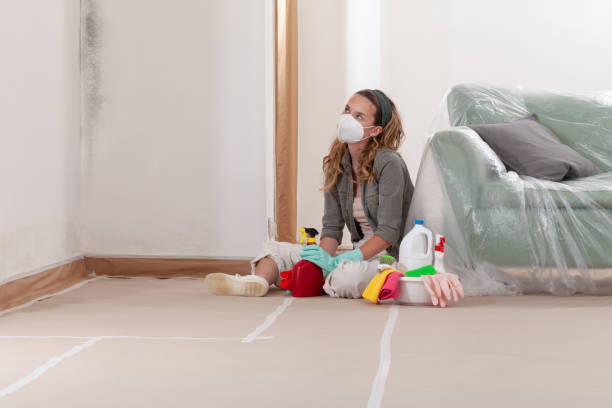 Reliable Crawl Space Mold Removal contractor in Berwyn, IL by WQB Mold Removal